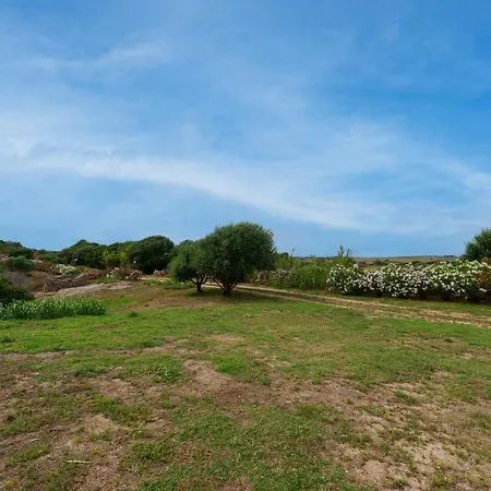Lu Stazzu Di Tarraolta 3 * Aglientu